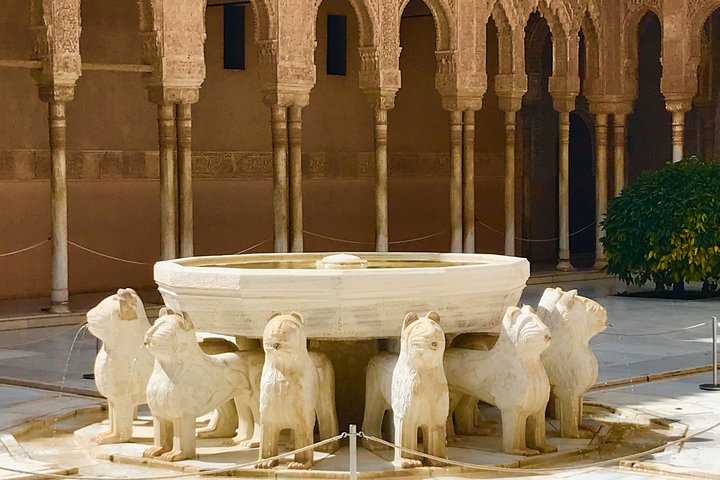 Alhambra Private Tour from Marbella: with Transport and skip-the-line tickets  - Image 3