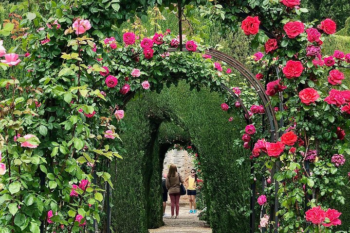 Alhambra Private Tour from Marbella: with Transport and skip-the-line tickets  - Image 4