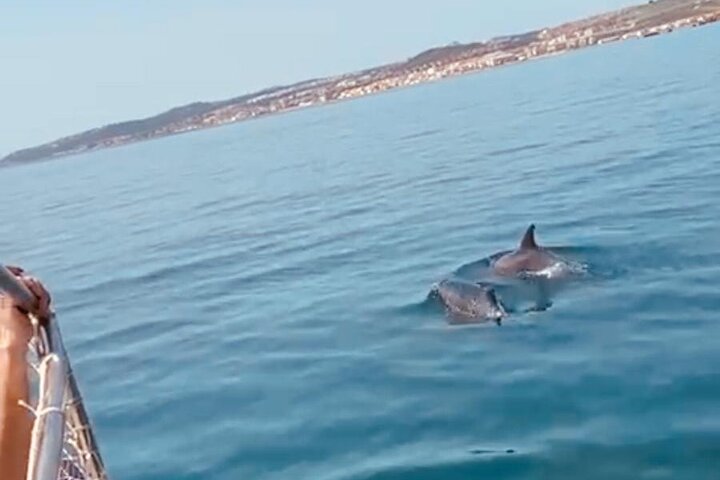 Boat trip through the Bay of Estepona Martingala - Image 5
