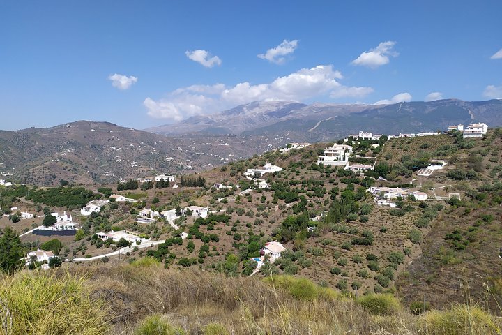 Discover boutique wineries and white washed villages with Andalucian lunch - Image 1