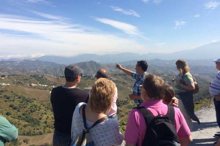 Discover boutique wineries and white washed villages with Andalucian lunch - Image 3