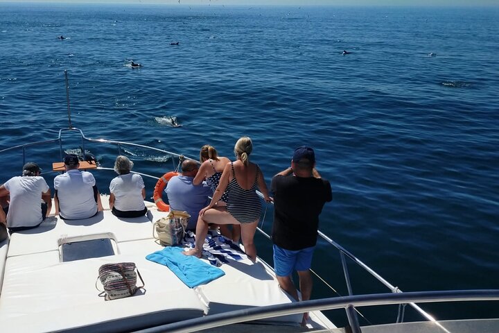 Dolphin Spotting Trips in Fuengirola with Free Drinks and Snacks - Image 5