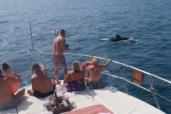 Dolphin Spotting Trips in Fuengirola with Free Drinks and Snacks - Image 4