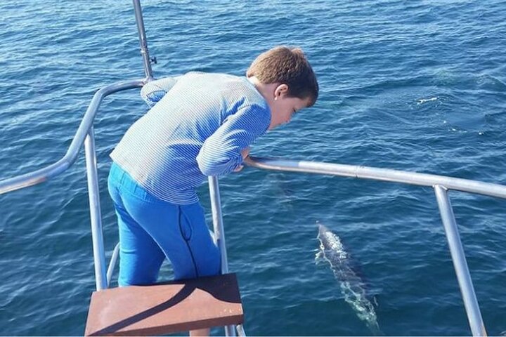 Dolphin Spotting Trips in Fuengirola with Free Drinks and Snacks - Image 3