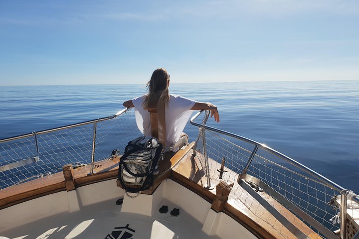 Estepona Bay Tour - Image 3