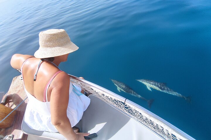 Estepona Bay Tour - Image 1