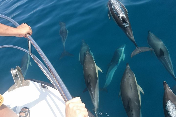 Estepona Bay Tour - Image 2