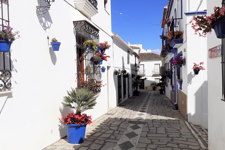 Full Day Private Tour in Gibraltar and Estepona from Marbella - Image 5