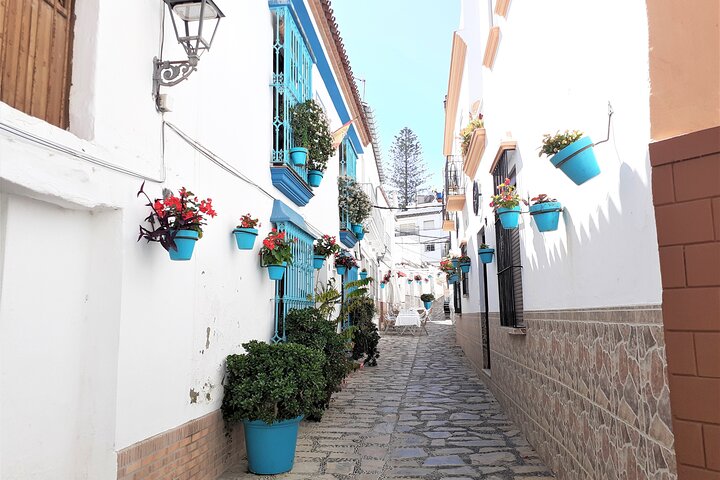 Full Day Private Tour in Gibraltar and Estepona from Marbella - Image 3