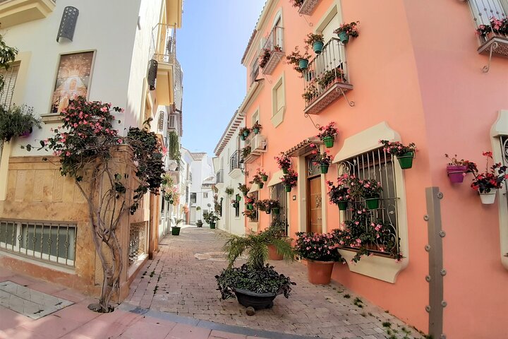 Full Day Private Tour in Gibraltar and Estepona from Marbella - Image 4