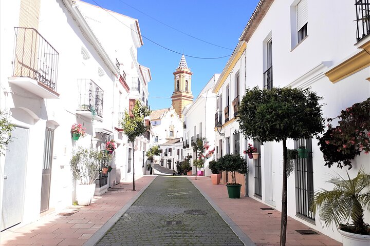 Full Day Private Tour in Gibraltar and Estepona from Marbella - Image 1