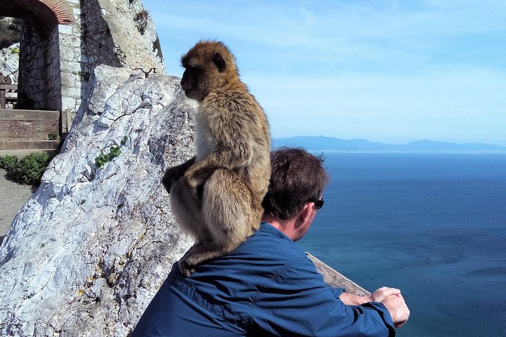 Gibraltar Private Tour from Marbella or Malaga - Image 1