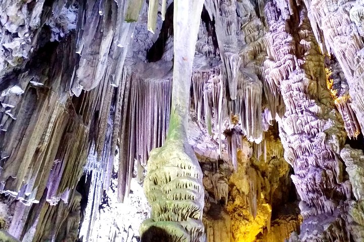 Gibraltar Private Tour from Marbella or Malaga - Image 3