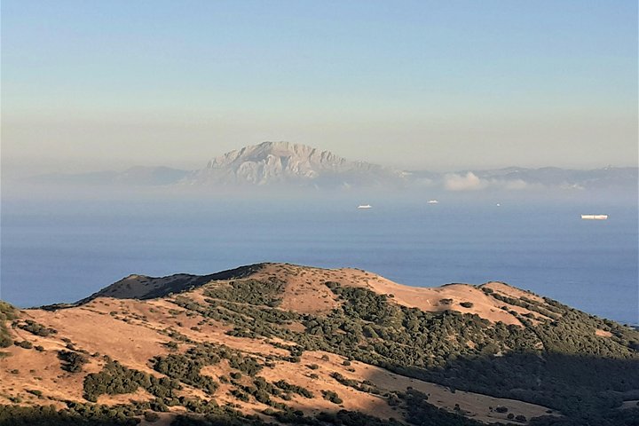 Gibraltar Private Tour from Marbella or Malaga - Image 5