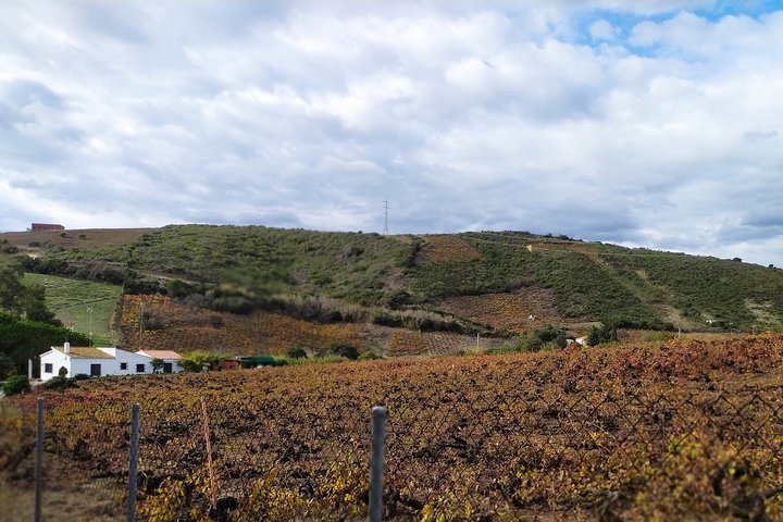 Manilva & Gaucin Wine Tour from the Costa del Sol - Image 1