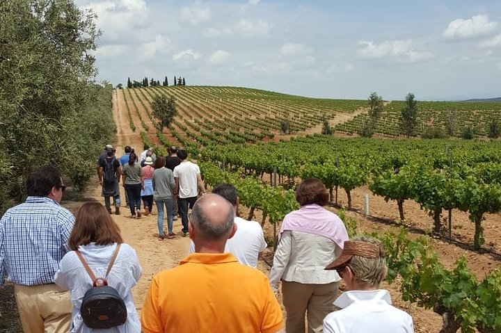 Manilva & Gaucin Wine Tour from the Costa del Sol - Image 3