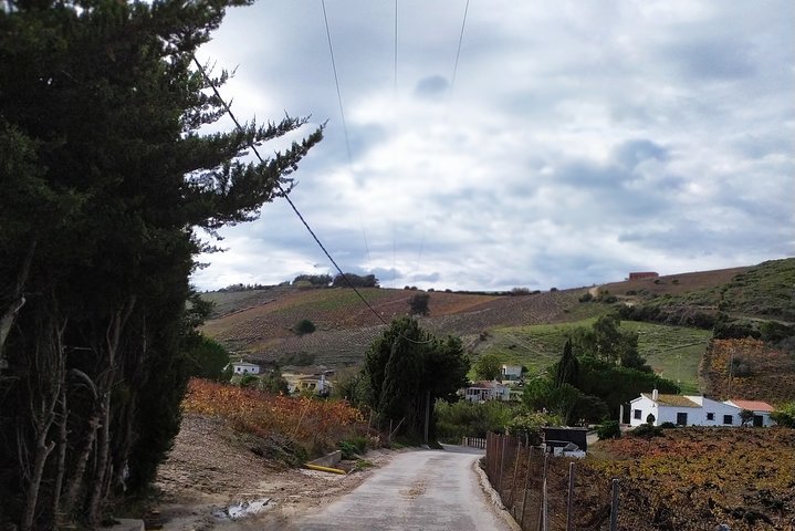 Manilva & Gaucin Wine Tour from the Costa del Sol - Image 5