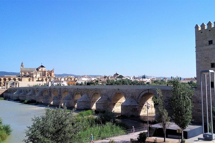 Private tour in Cordoba from Costa del Sol - Image 4
