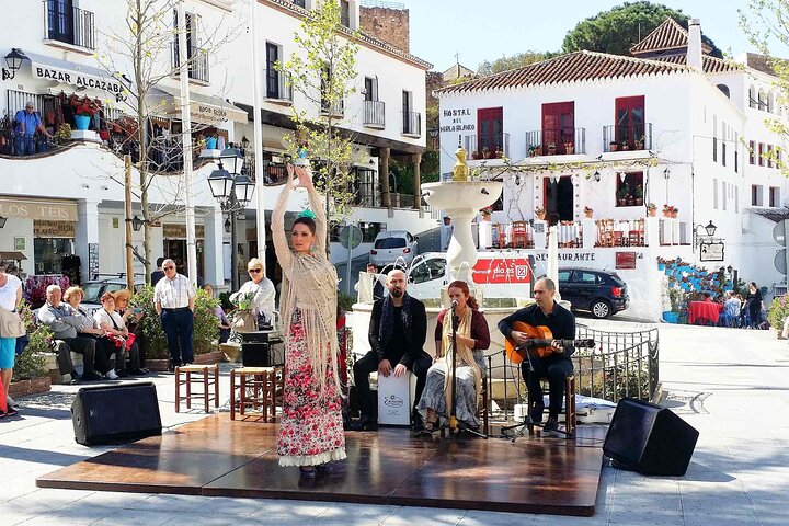 Private Tour in Gibraltar & Mijas from Marbella and Estepona - Image 5