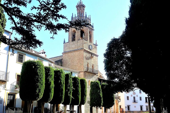 Private tour in Ronda and in Gibraltar from Marbella - Image 3
