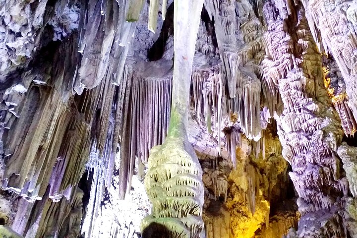 Private tour to the Nature Reserve in Gibraltar from Marbella or Malaga - Image 2