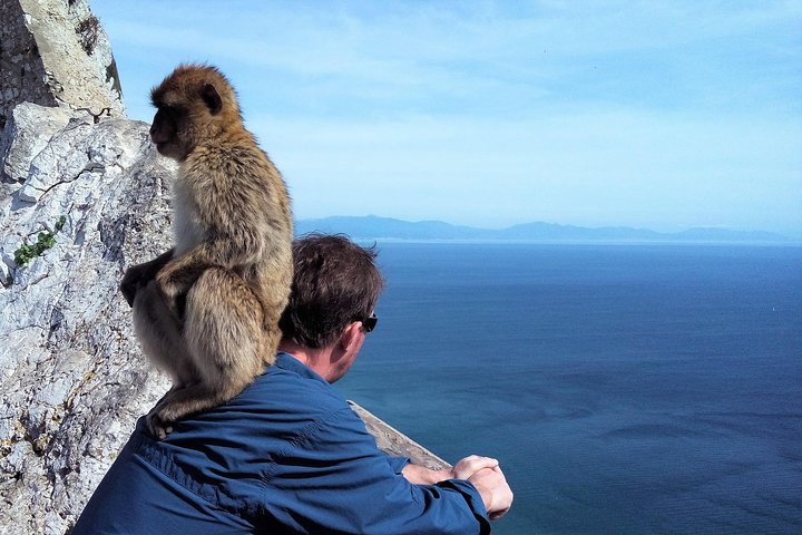 Private tour to the Nature Reserve in Gibraltar from Marbella or Malaga - Image 5