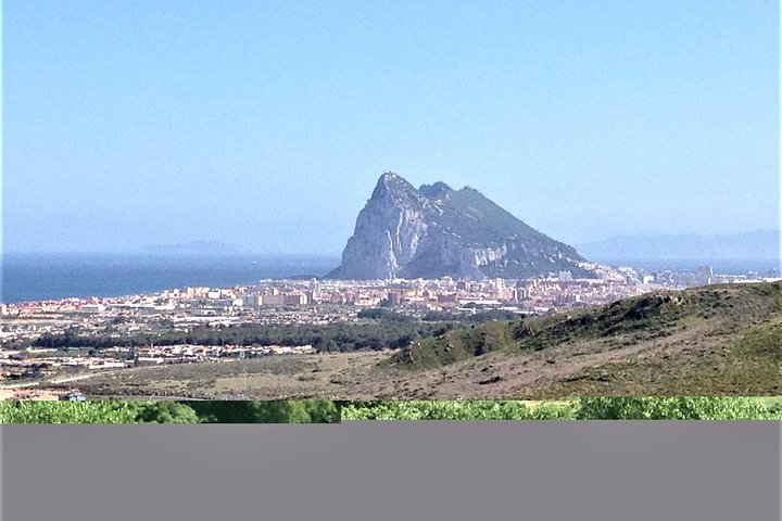 Private tour to the Nature Reserve in Gibraltar from Marbella or Malaga - Image 4