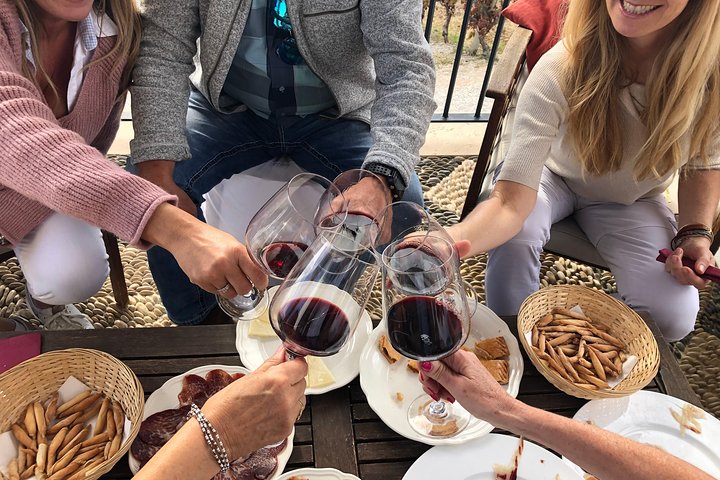 VIP Ronda Wine Tour and Tasting and Gourmet Lunch Experience with Winemaker - Image 1