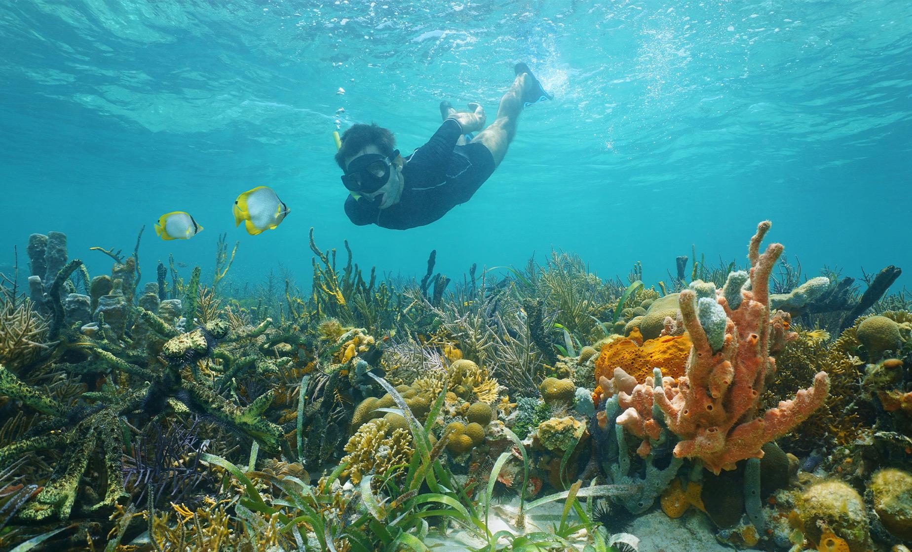 Snorkel at Creole Rock - Image 1