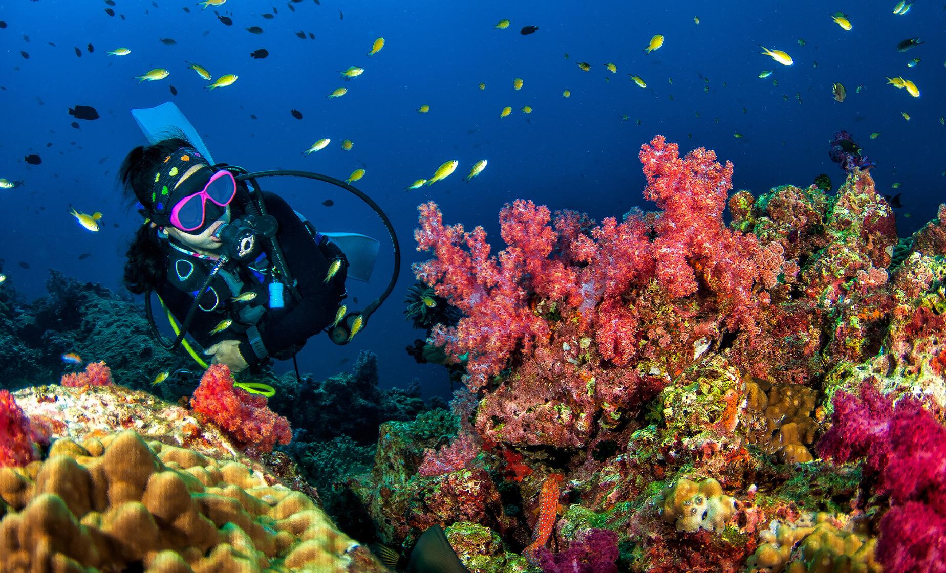 Marmaris Scuba Diving Trip - Image 1