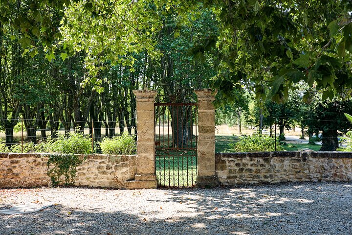 Aix-en-Provence old town, wine & art of Châteaux Beaupré & Bonisson private tour - Image 4