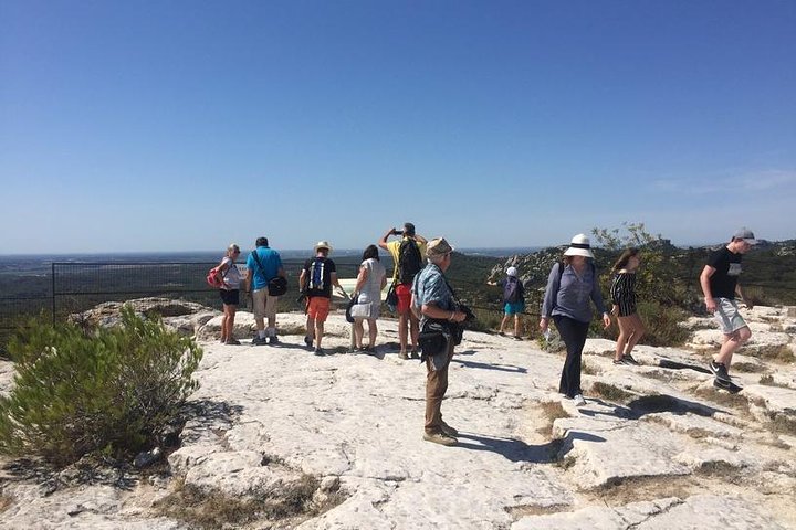 Arles & Les Baux de Provence Tour - Image 4