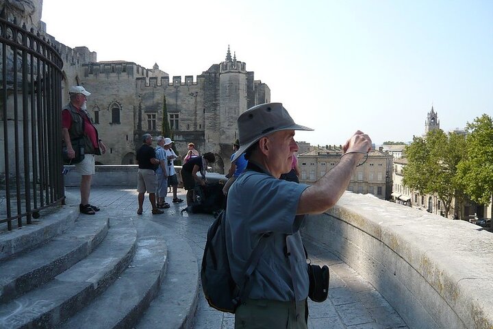 Avignon Private Tour - Image 3