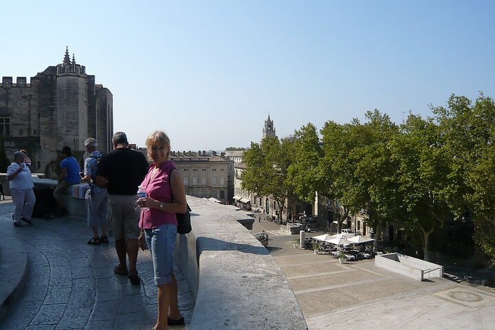 Avignon Private Tour - Image 5