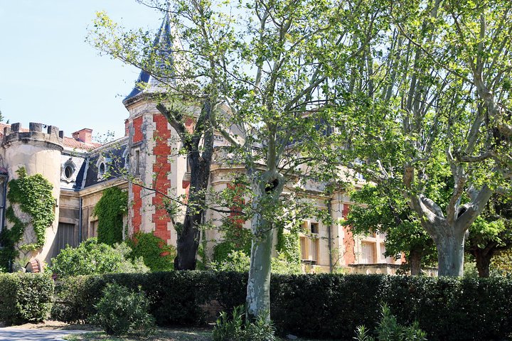 Avignon's history, local culture & the wines of Châteauneuf du Pape private tour - Image 5