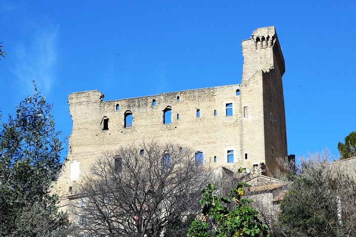 Avignon's history, local culture & the wines of Châteauneuf du Pape private tour - Image 1