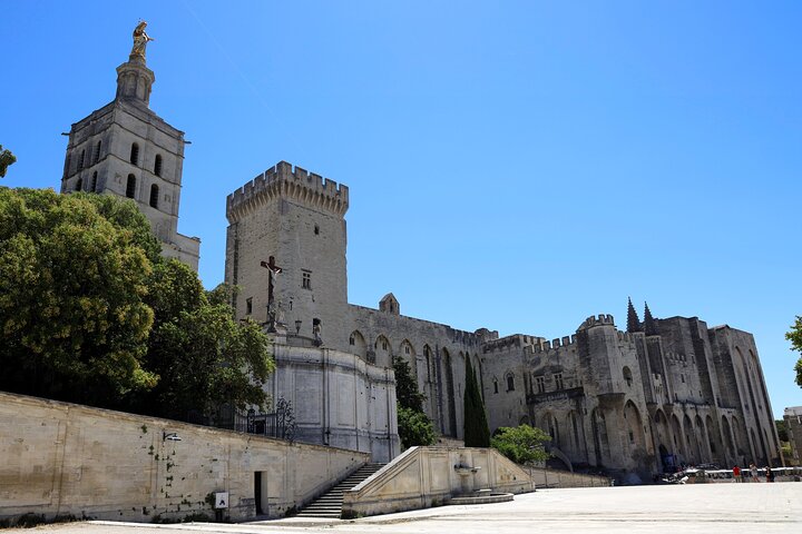 Avignon's history, local culture & the wines of Châteauneuf du Pape private tour - Image 2