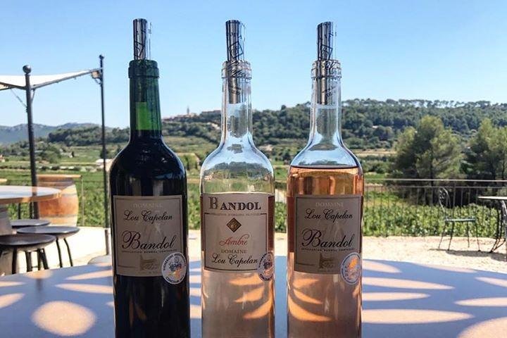 Bandol/Cassis Wine Day Tour : 8hours  - Image 1
