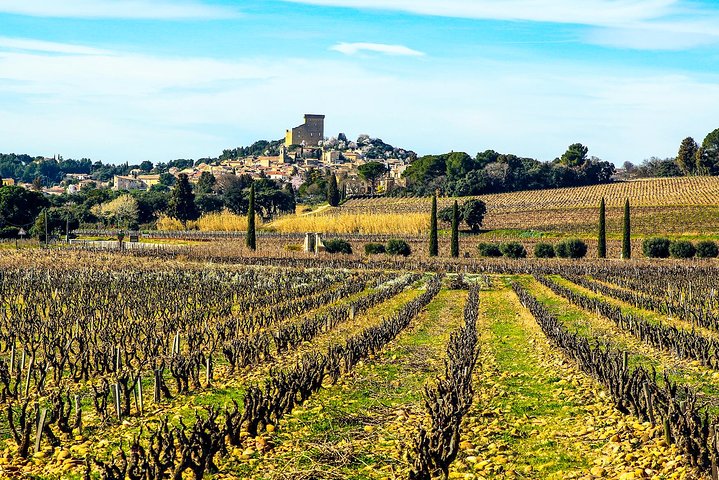 Châteauneuf Du Pape intensive vineyard & fine wine experience - Image 2