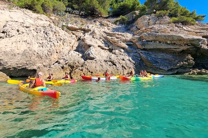 Guided kayak excursion in creeks - Image 5