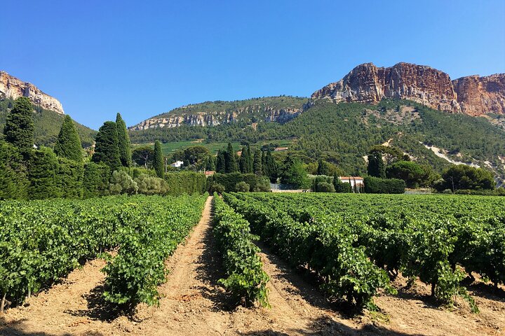 Marseille Shore Excursion - Full Day Wine Tour in Provence - Image 2