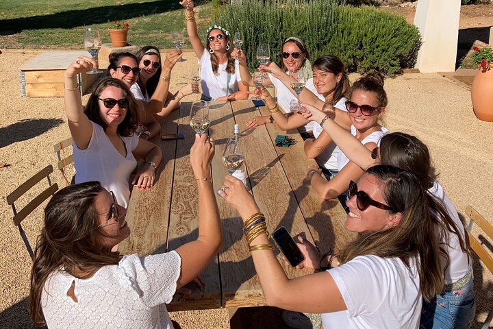 Marseille Shore Excursion - Private Full Day Wine Tour in Provence - Image 2