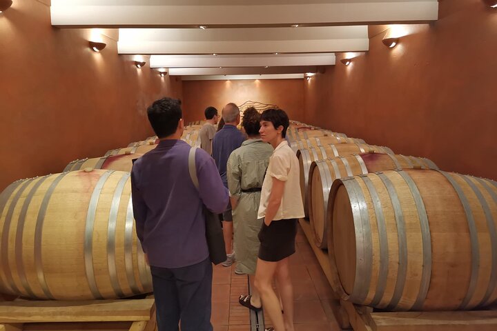 Marseille Shore Excursion - Private Full Day Wine Tour in Provence - Image 5