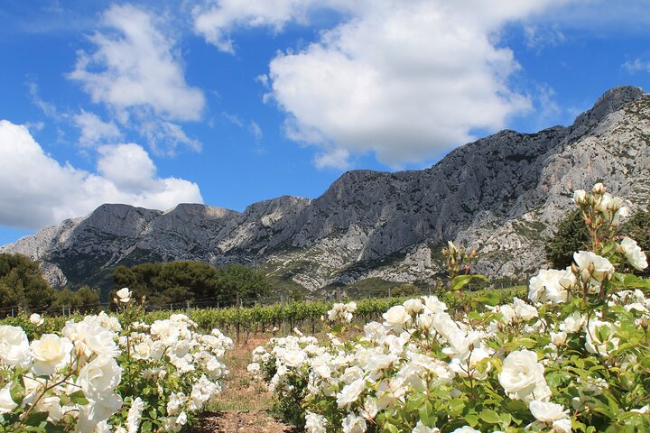 Marseille Shore Excursion - Private Full Day Wine Tour in Provence - Image 4