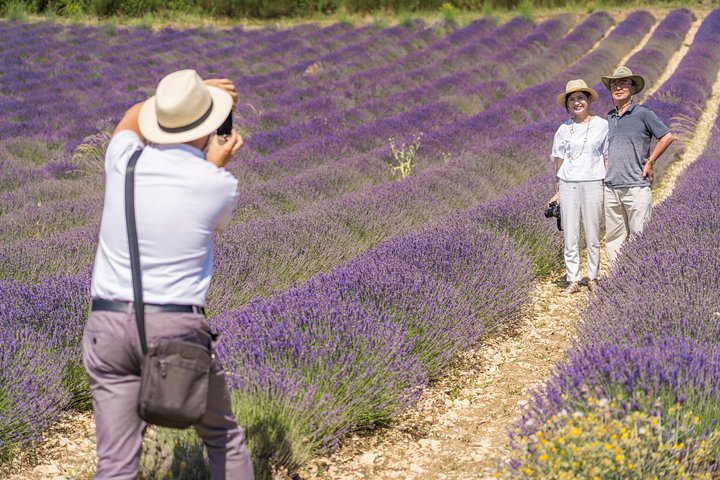 Small Group Marseille Shore Excursion: Lavender Tour - Image 1