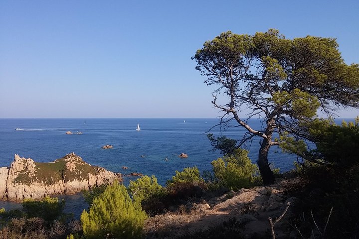 St Tropez and around - Image 1