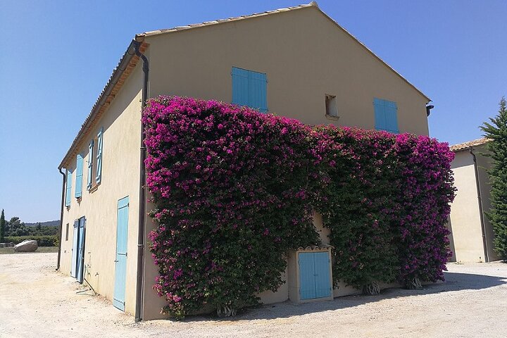 St Tropez and around - Image 3
