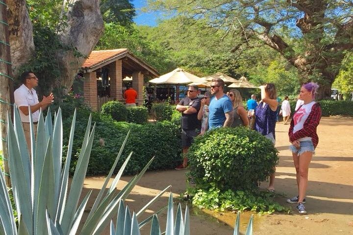 Artisans Town and Agave Distilled Factory - Image 2