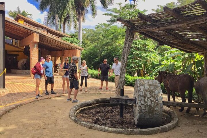 Artisans Town and Agave Distilled Factory - Image 5