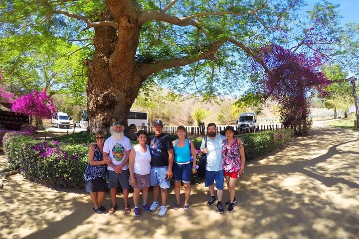 Artisans Town and Agave Distilled Factory - Image 3